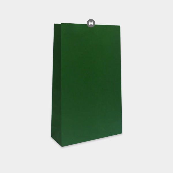 Medium-Festive-Gift-Bag-Green