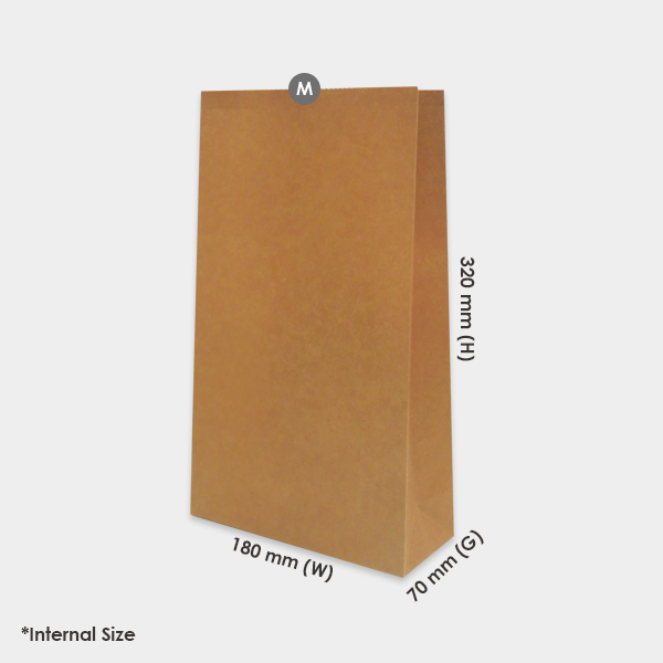 Medium-Festive-Gift-Bag-Sizes