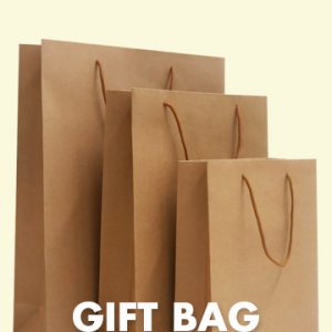 BAGS - GIFT